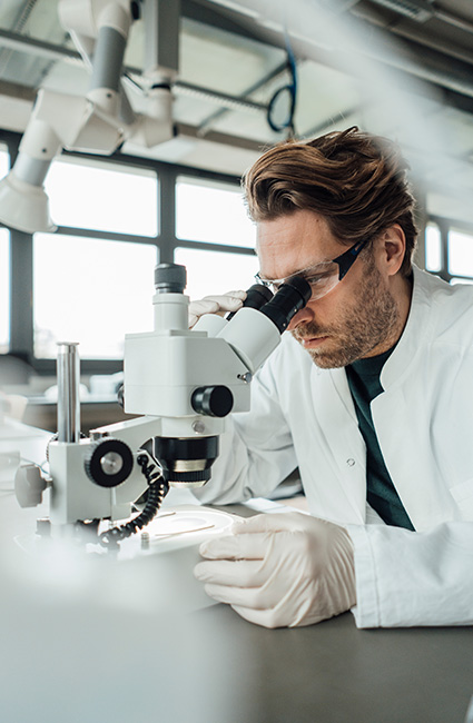 Educación e investigación 